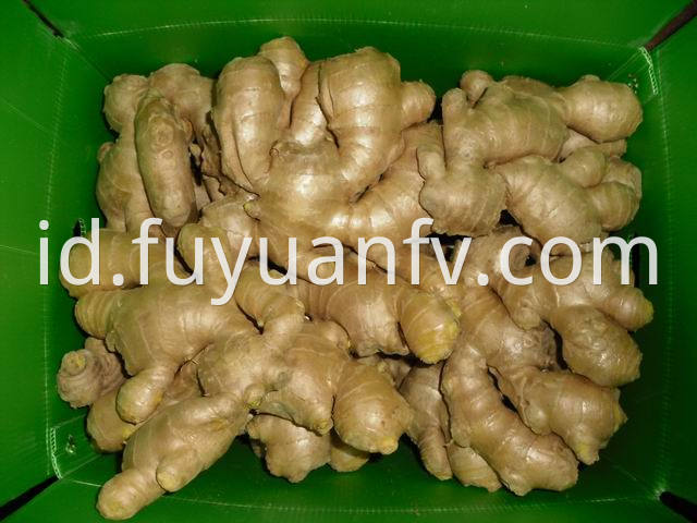 air dried ginger 